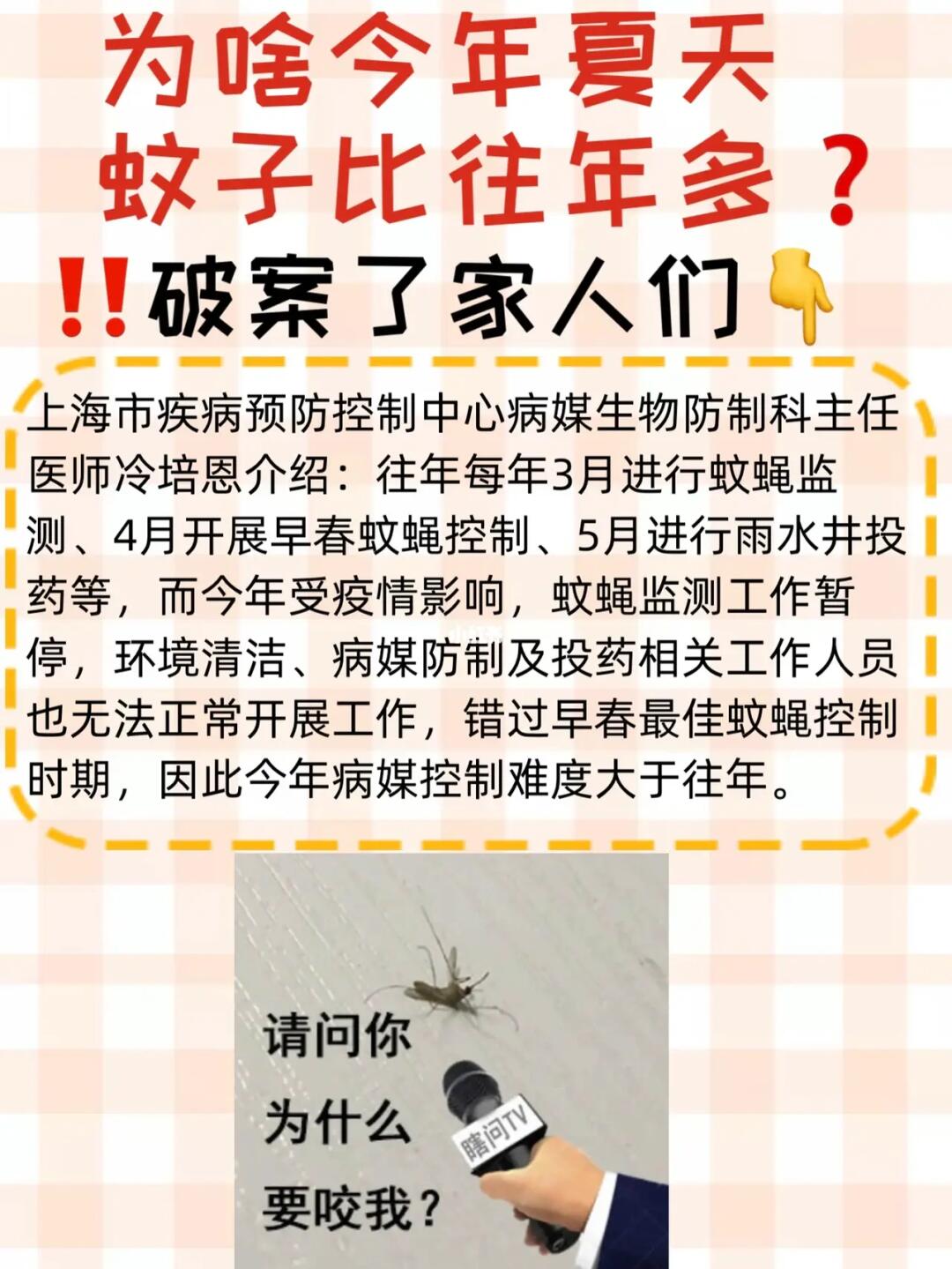 蚊子退🤺退🤺退🤺｜健康驱蚊小妙招