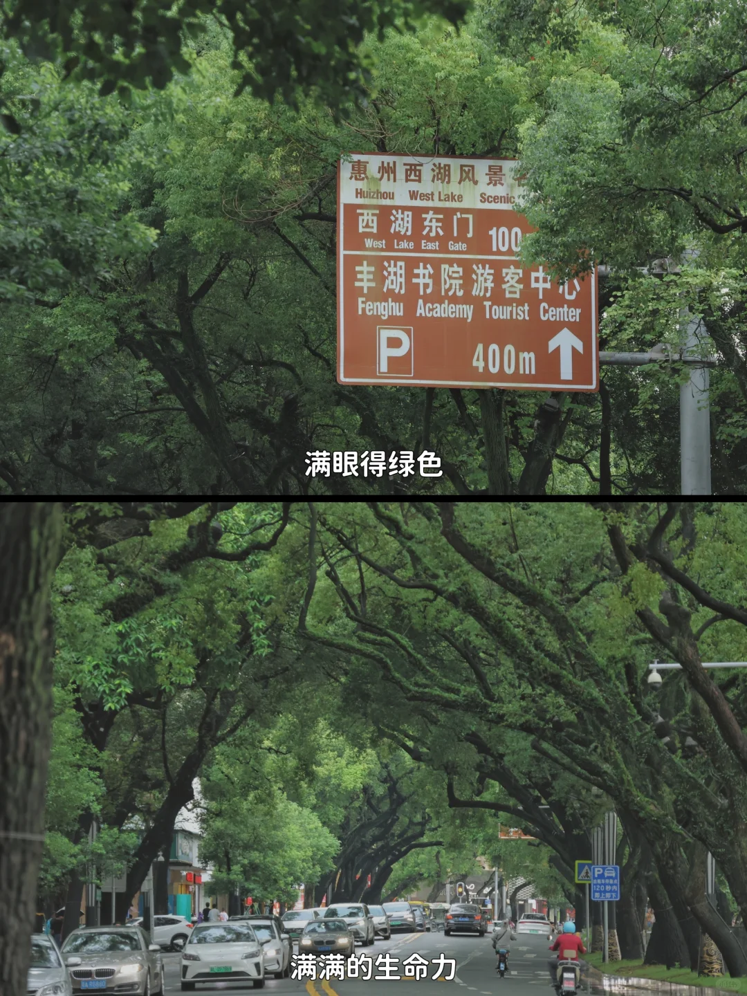 在惠州 这是我好喜欢的一条路