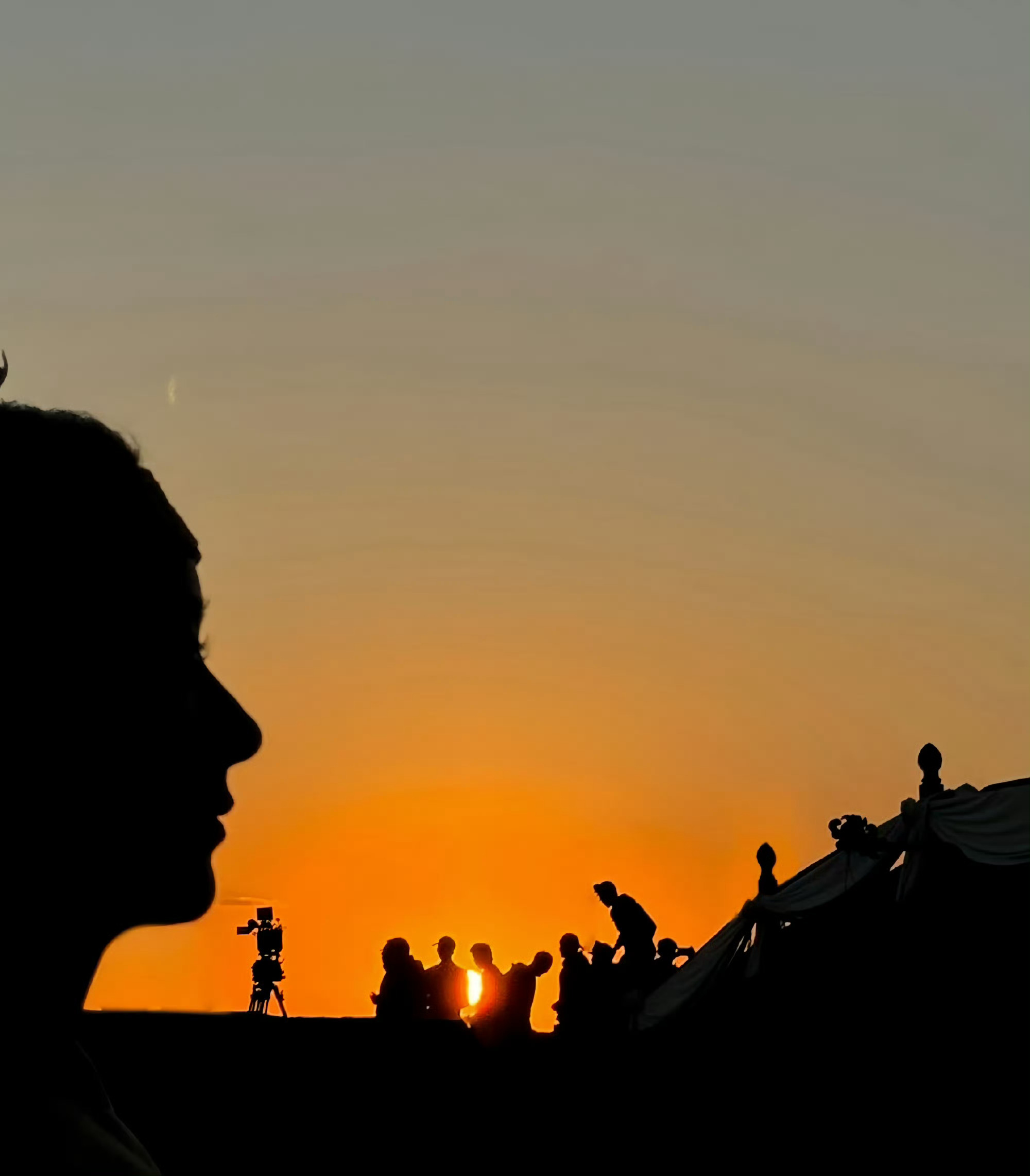 #想在赵丽颖的鼻子上滑滑梯# 啊啊啊啊赵丽颖真的好美的剪影😍这侧颜我爱！想在姐