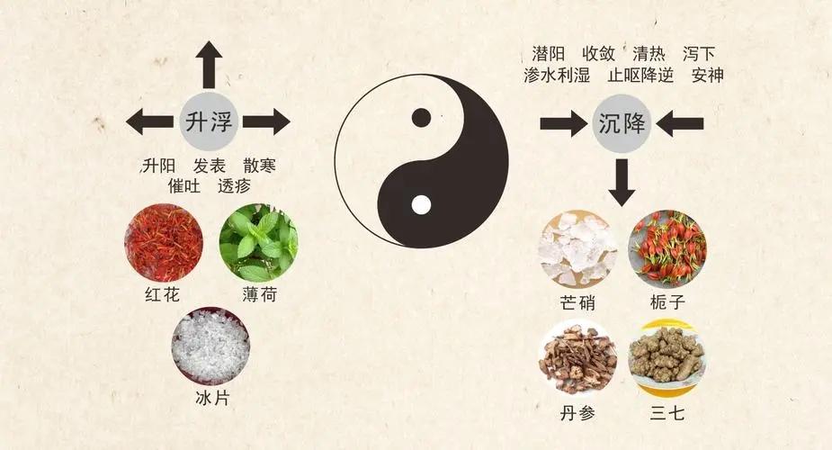 诸花皆升旋覆独降，诸子皆降苍耳独升

 
想要学中医，就一定要知道不同药物的走向