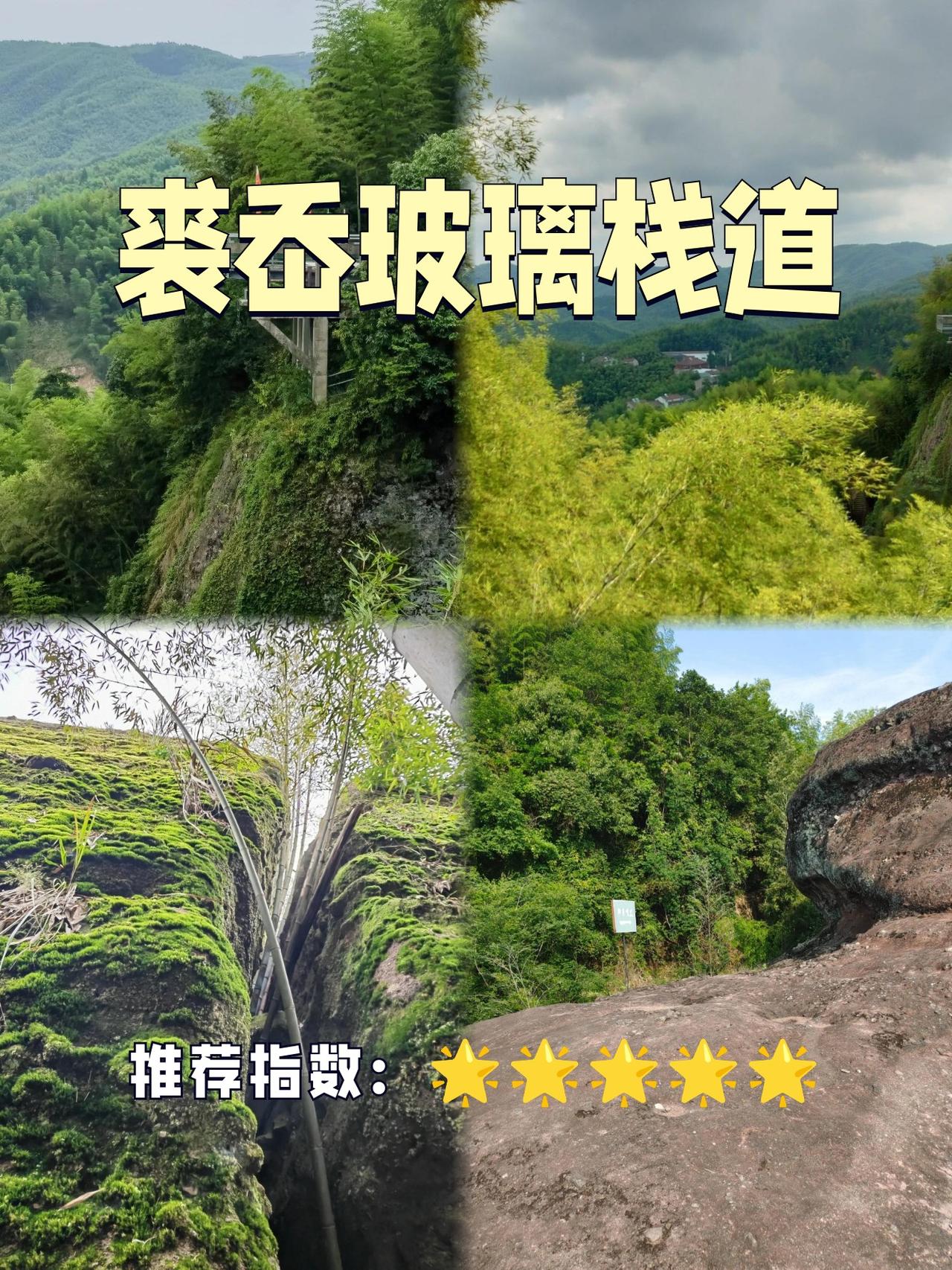 宁波玻璃栈道天花板！悬崖边的云端漫步

✨在宁波的崇山峻岭中，竟藏着这样一条“天