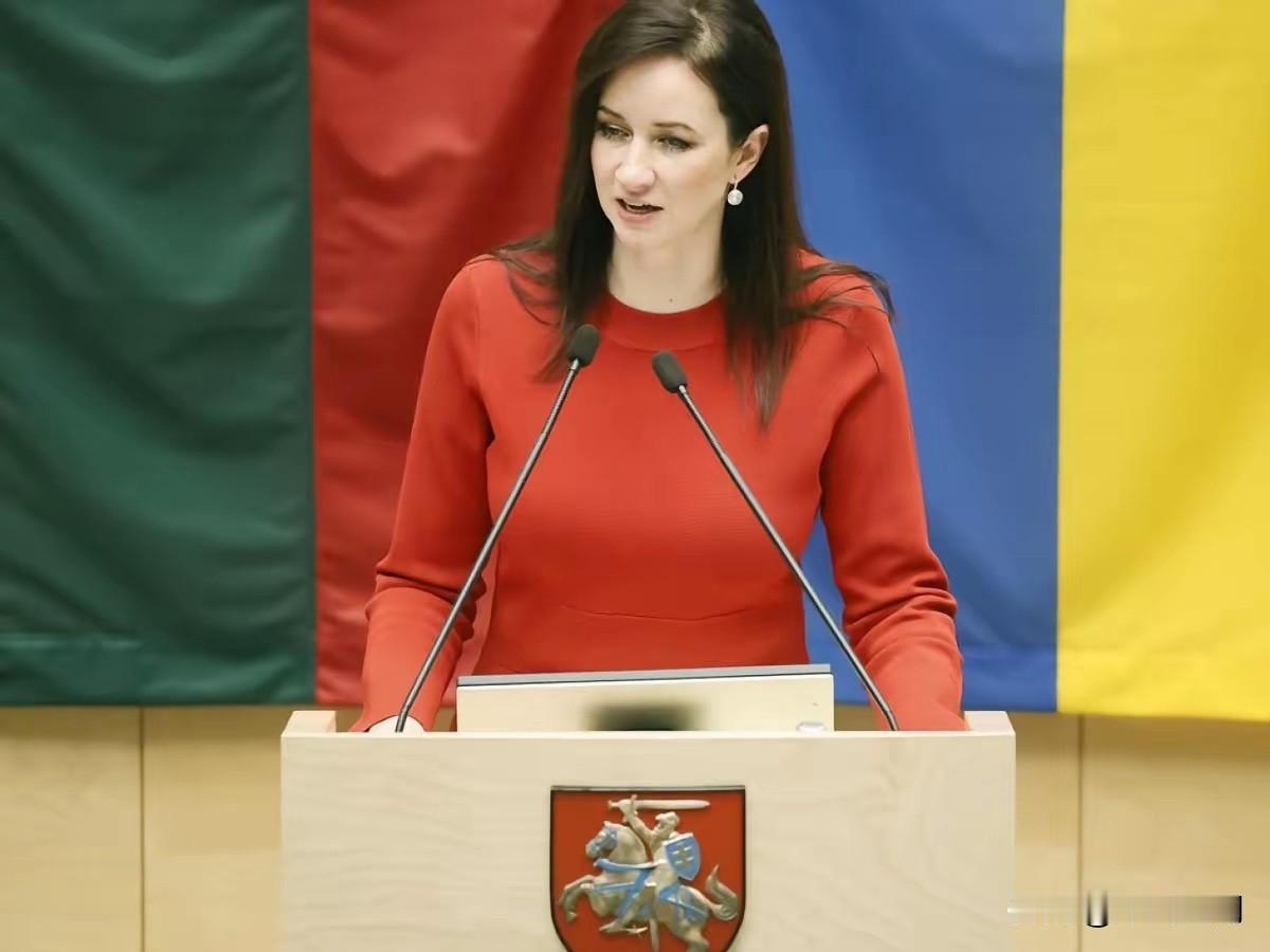 立陶宛新总理：新政府将致力于恢复与中国的贸易。
本月，在立陶宛新总理上台后，中立