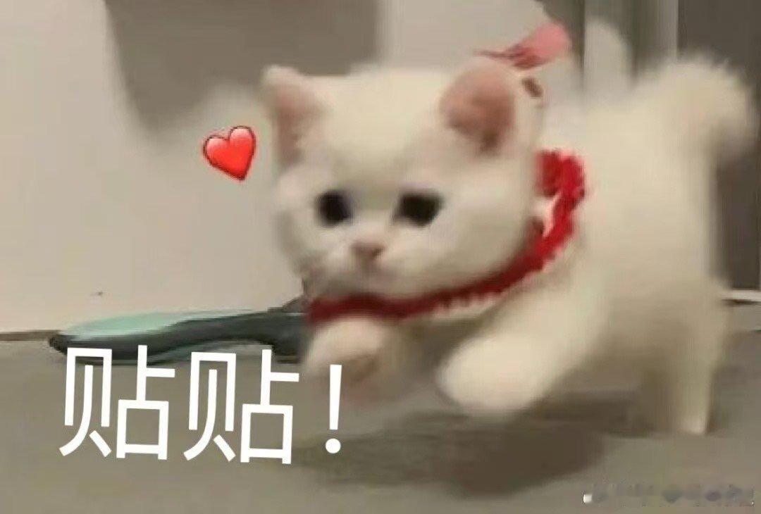 沉浸式感受科技氛围拉满的深圳在这里能看到很多前沿技术落地成为现实，能真切感受到创