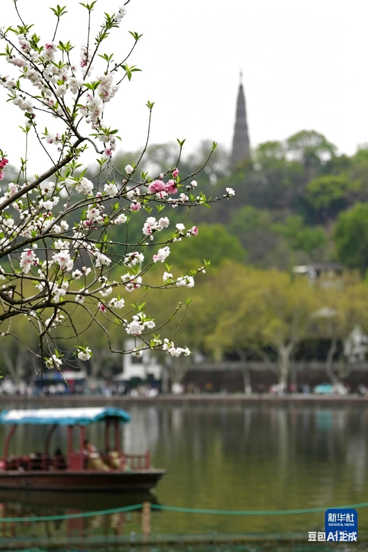 分享随手拍绿植