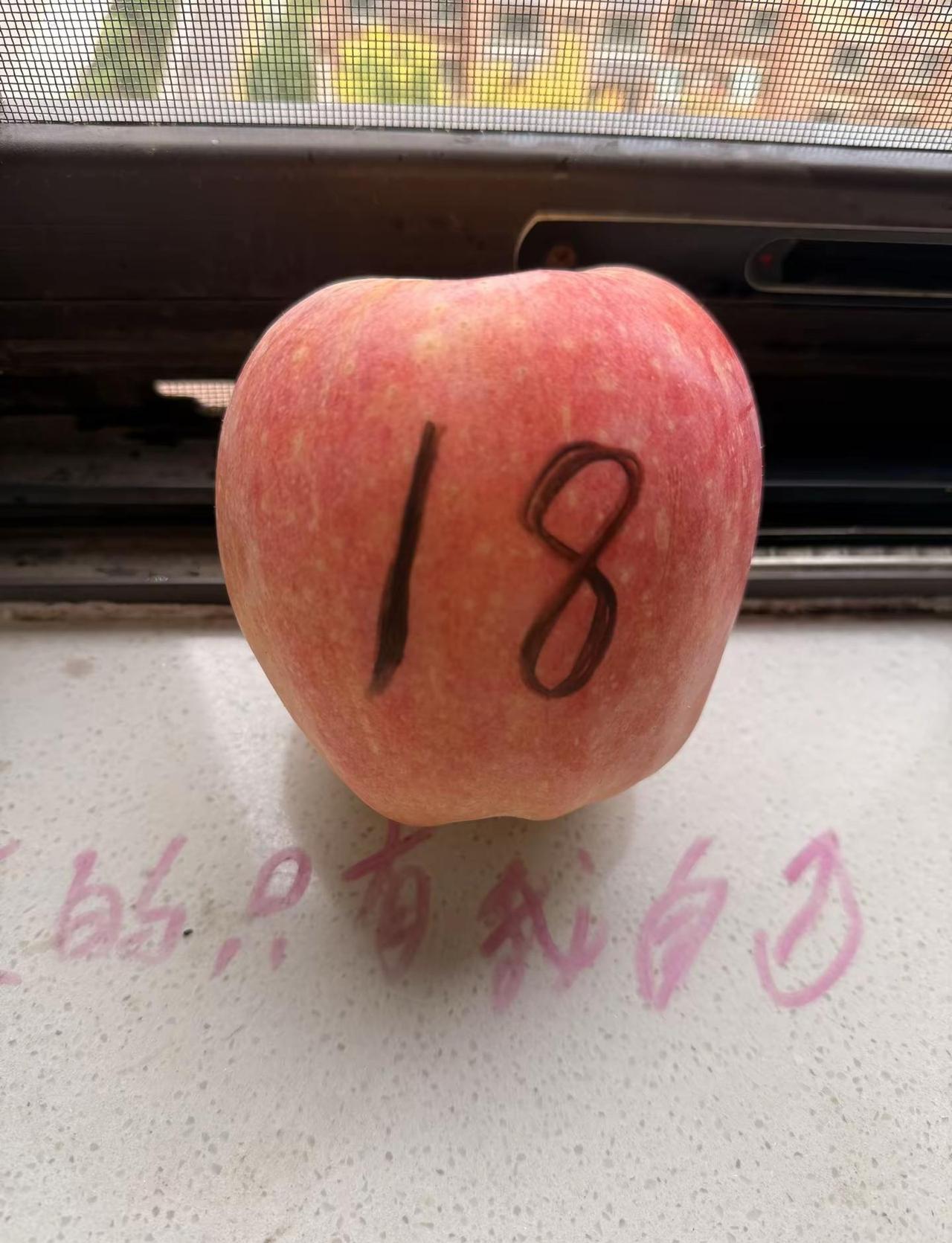 苹果18全款拿下，根本没必要分期，又不是没那实力😉┌⸂⸂⸜👊⸝⸃⸃⸂⸂⸜👊