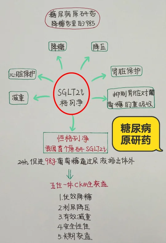今日学习打卡一糖尿病用药里的985