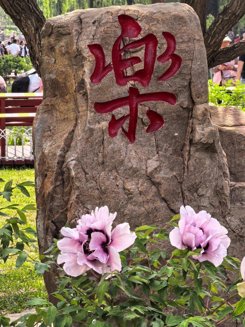 早安，新的一天。世间万物都有自己的节奏，你也一样，不必焦虑，不必慌张，好运气就藏
