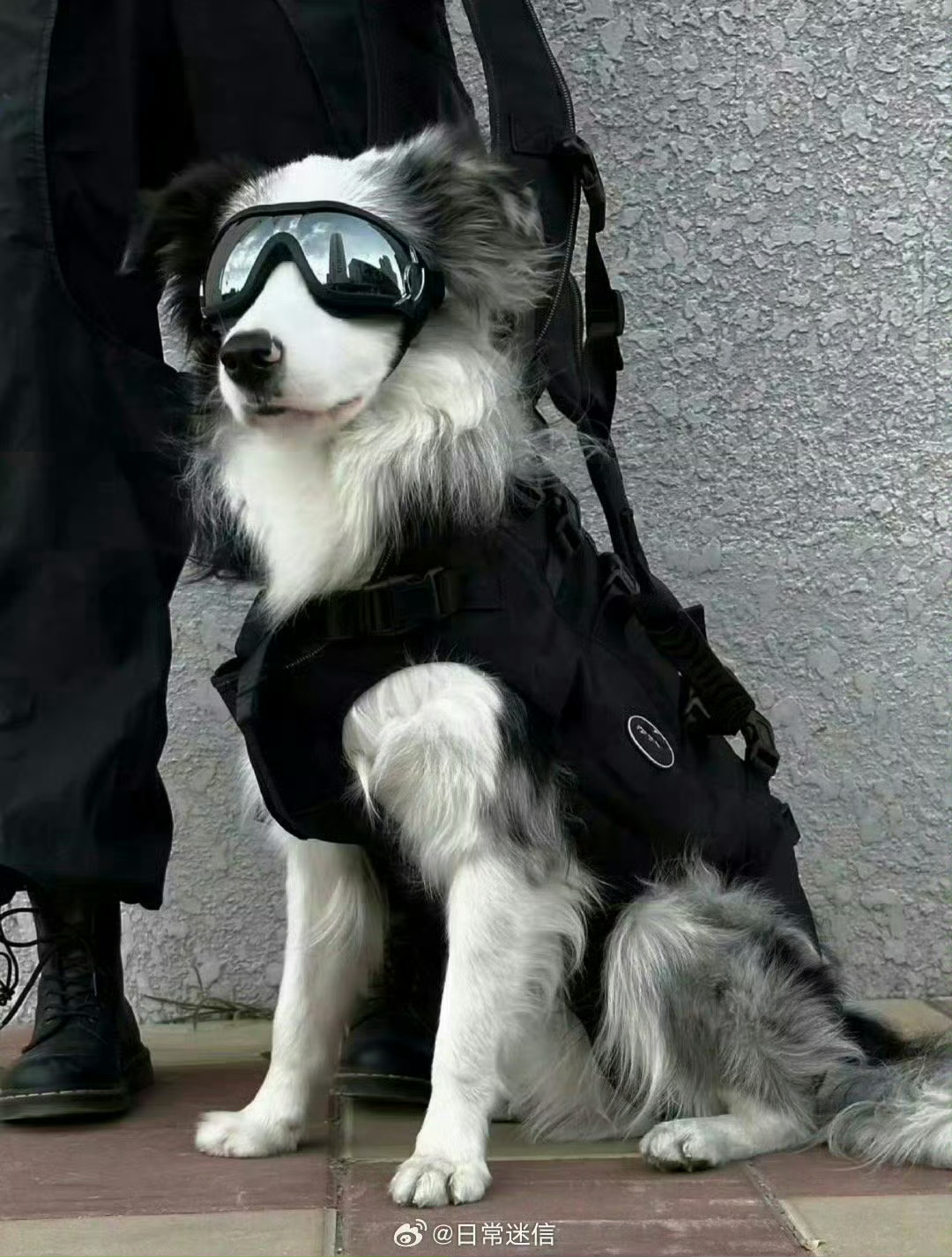 停留两秒，让小边警官赶走你背后的小人  