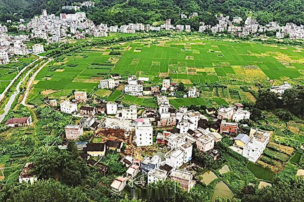 万步人生路 原色展现粤西罗定市泗纶镇明镜村，让人流连忘返。 ​​​