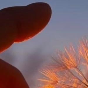 情感语录 你的世界，其实只有你。你在，世界才在；你好了，世界也跟着亮起来。 