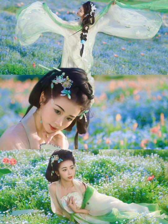 上海！这片🆓喜林草花海封神了！免门票！