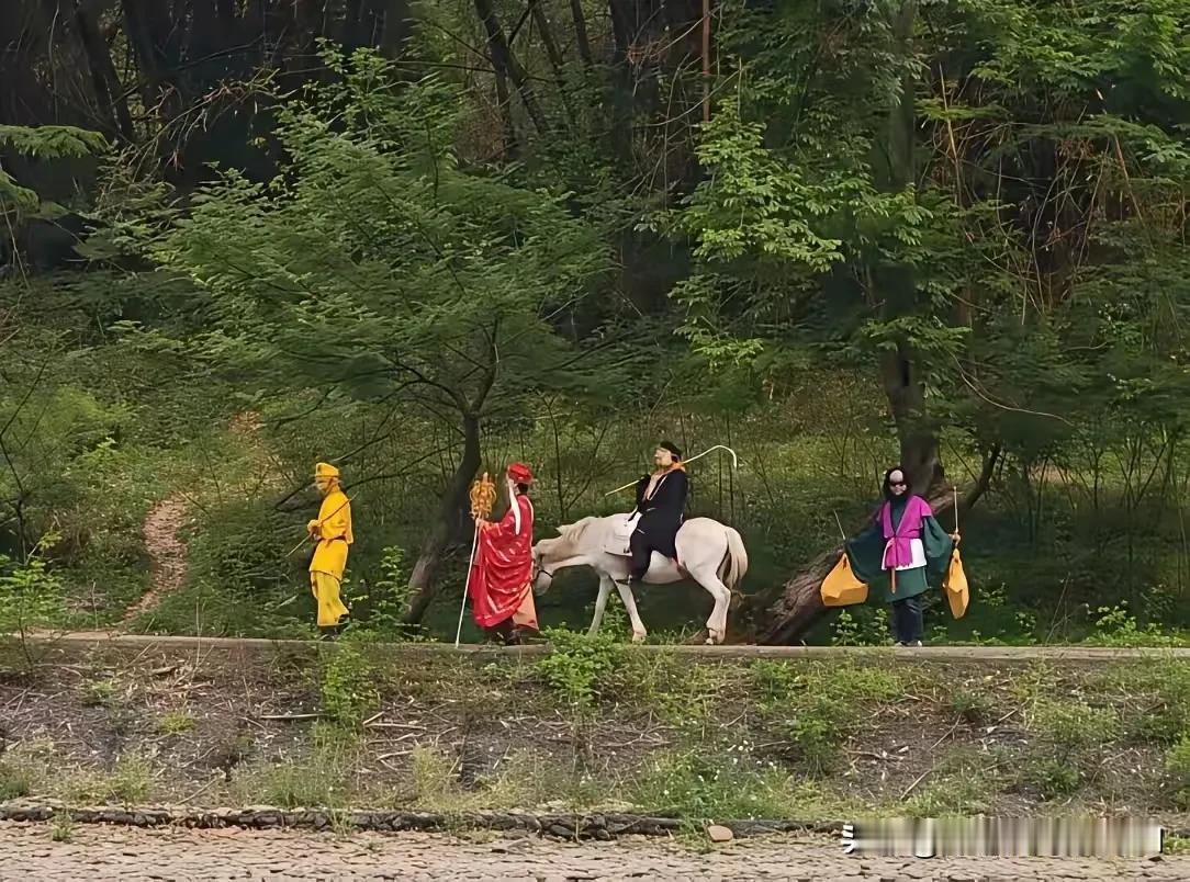 看到下面的图片，一头雾水。这是西游记里的哪一集？这样的剧情从来没看过，怎么猪八戒