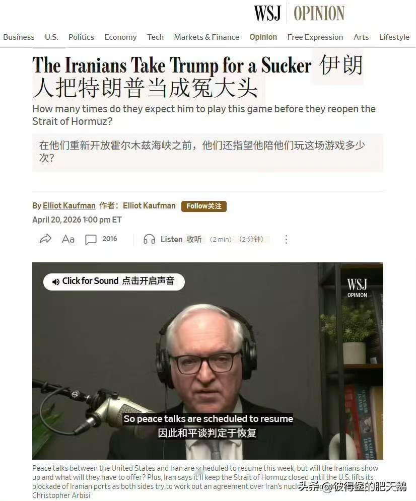 美式经典骂人dick sucker
WSJ《华尔街日报》
《伊朗人民把特朗普当傻