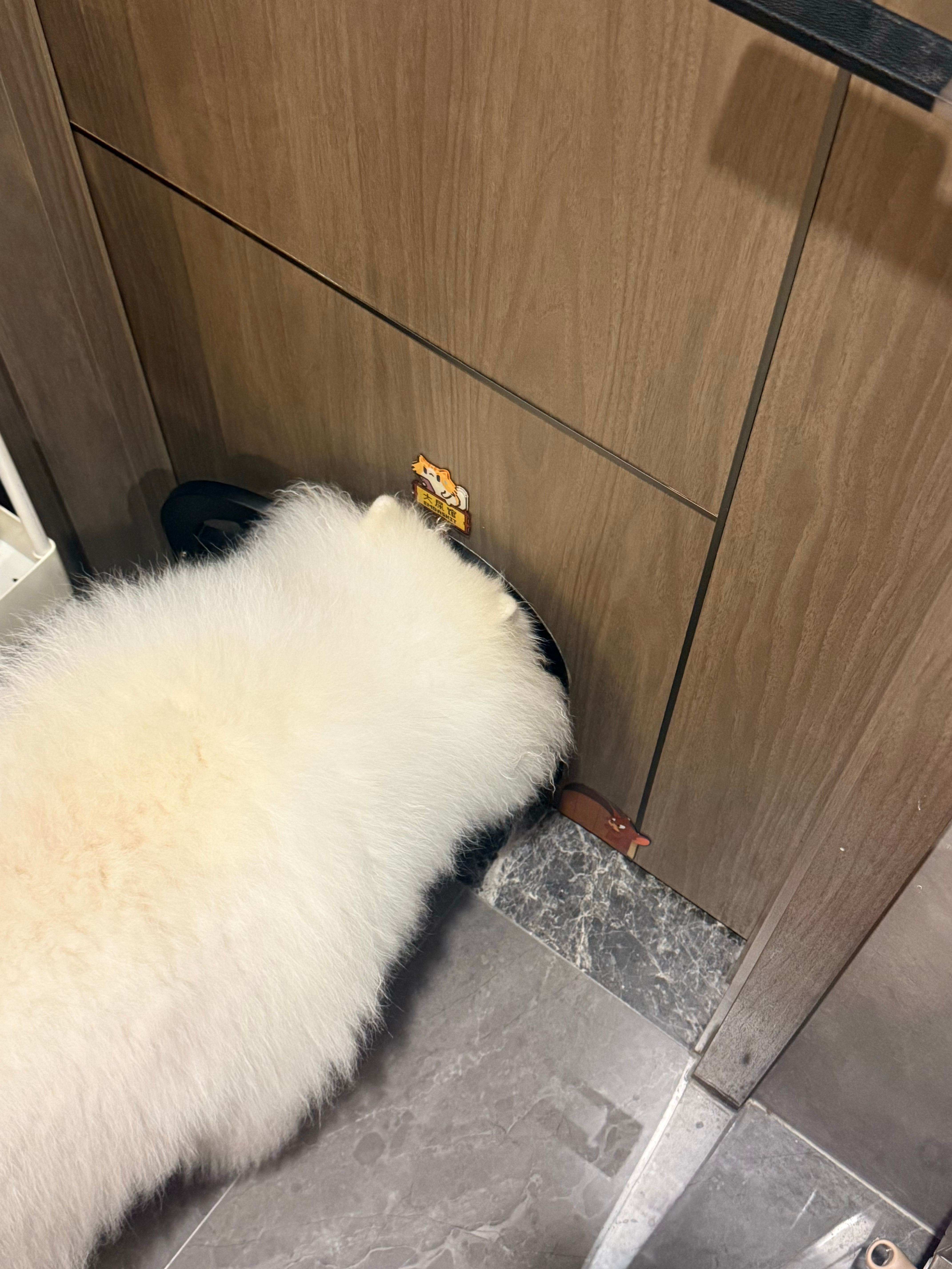 你没看过的船新四角（全新视角） ​​​