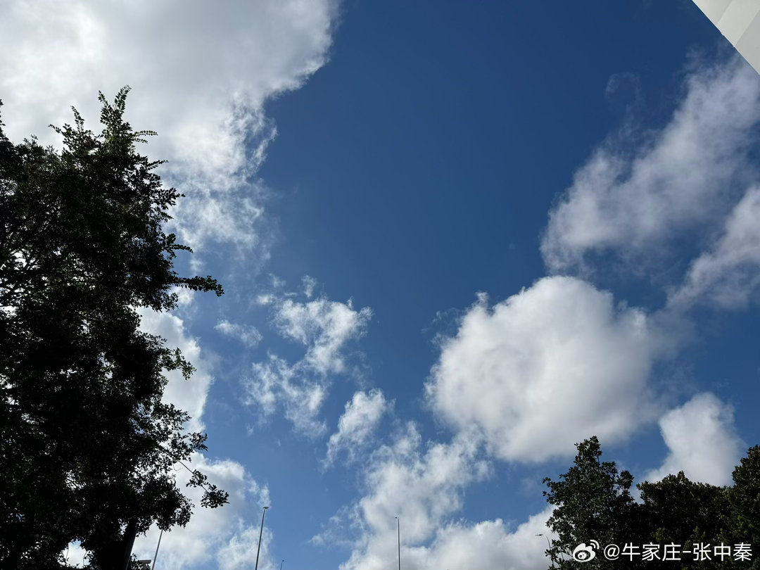早，小周五！☕️昨天微幅增量133亿，出现惊险的探底回升，图形位置仍旧和左边的6