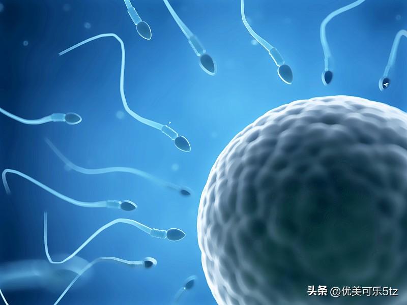 - 3天。不过，精子在体外存活时间会因环境条件不同而有很大差异。在干燥、高温且有