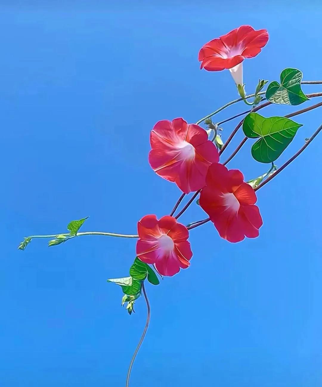 不要花大量的时间，
去交朋友和积累人脉。
事实和时间证明，
朋友是留不住的，
人
