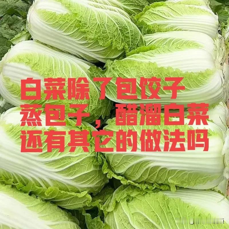 白菜有几种做法？
前几天回老家，老爸给了点白菜，自家地里种的无公害绿色蔬菜，但是