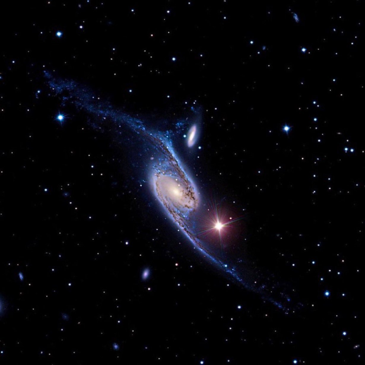 秃鹰星系是一个美丽的条形螺旋星系，距离地球约2.12亿光年，它的直径超过522,