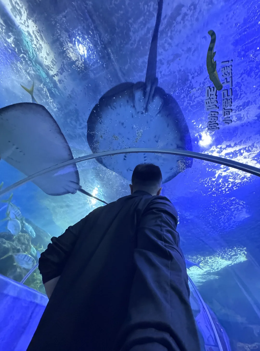地球和太阳都不是宇宙的中心，你才是