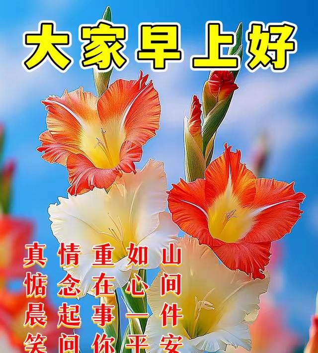 清晨向阳，心生欢喜✨
日子不必轰轰烈烈，平安顺遂就好；生活无需万般繁华，三餐温暖