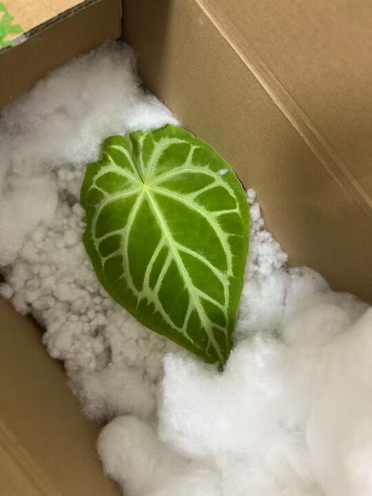 【太意外了】