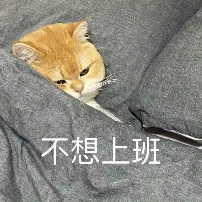 上班果然是一辈子的潮湿一声牛马，一生牛马。 