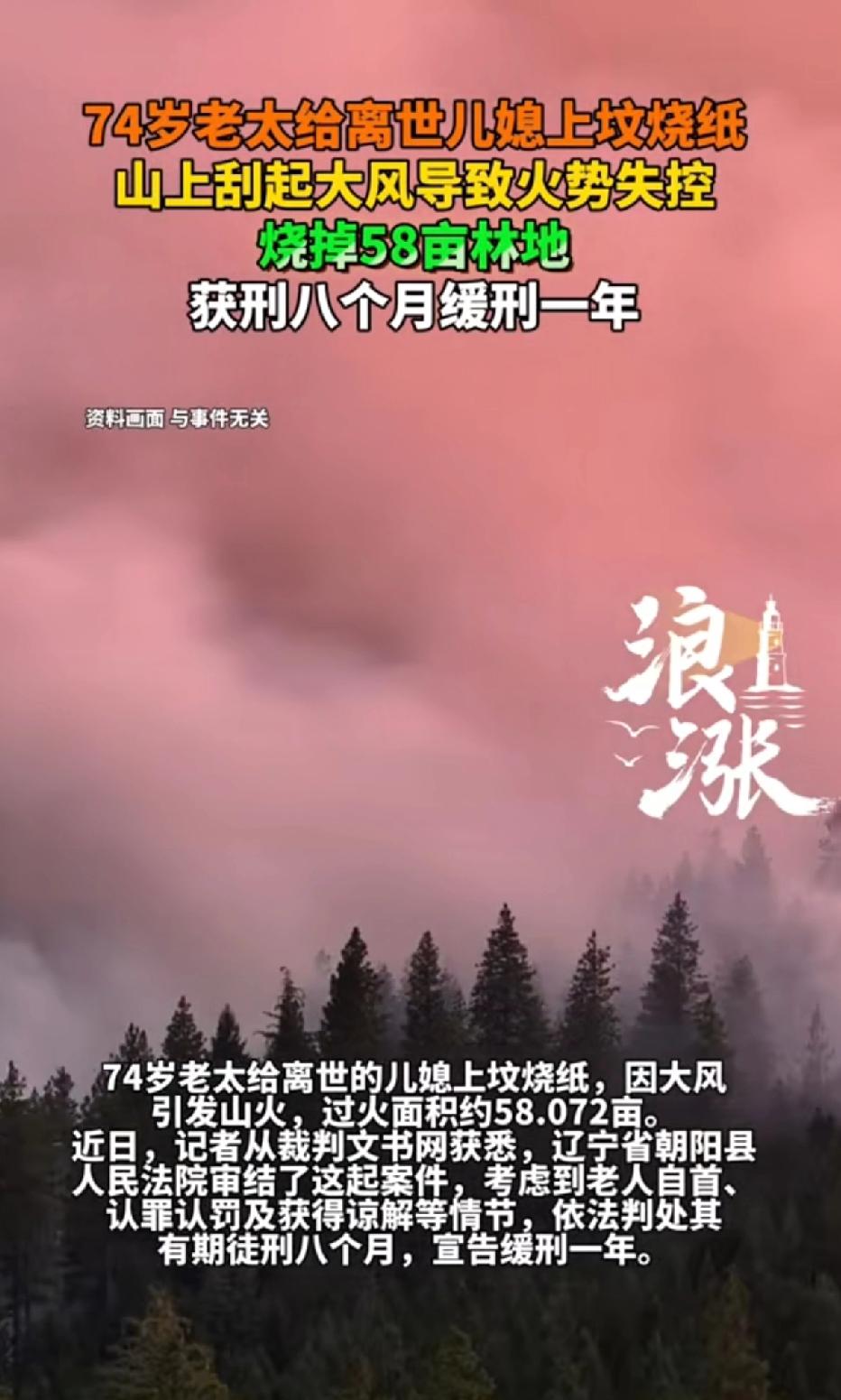 74岁老太给离世儿媳上坟烧纸，山上刮起大风导致火势失控，烧掉58亩林地，获刑8个