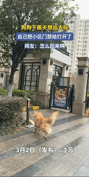 一看就知道是业主”，轻车熟路。
不过，就是回来时有点麻烦，得等一下他人。