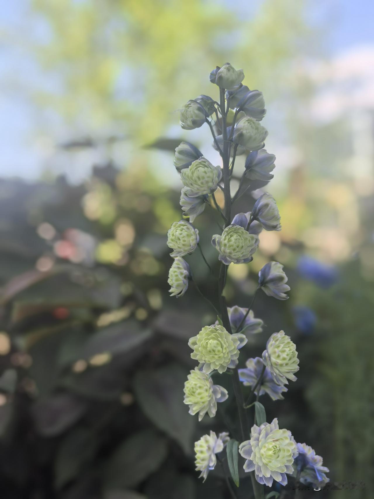 5月5日，阳光灿烂得有些过分，甚至可以说是热浪滚滚，夏天这是有点着急了。

太阳