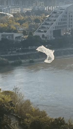 图1：风是有形状的，一个翩翩起舞的塑料袋，就是它的形状。