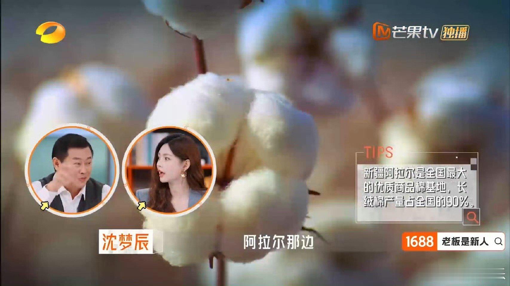 新疆棉托起浙企三代老板是新人 品质是传承的命脉，创新是发展的引擎。新一代浙商正用