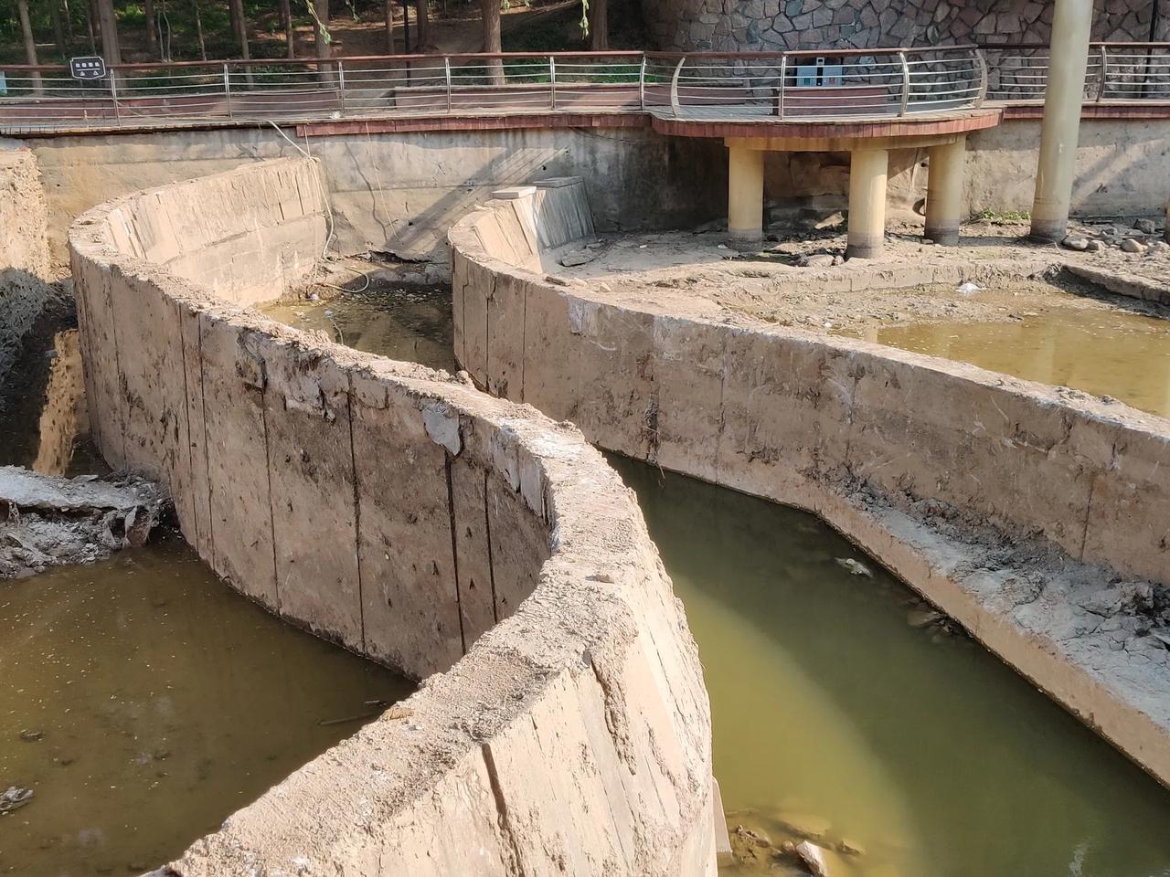 短短数日，大村河的清淤工作已接近尾声，往日堆积的淤泥消失得无影无踪，这效率确实挺