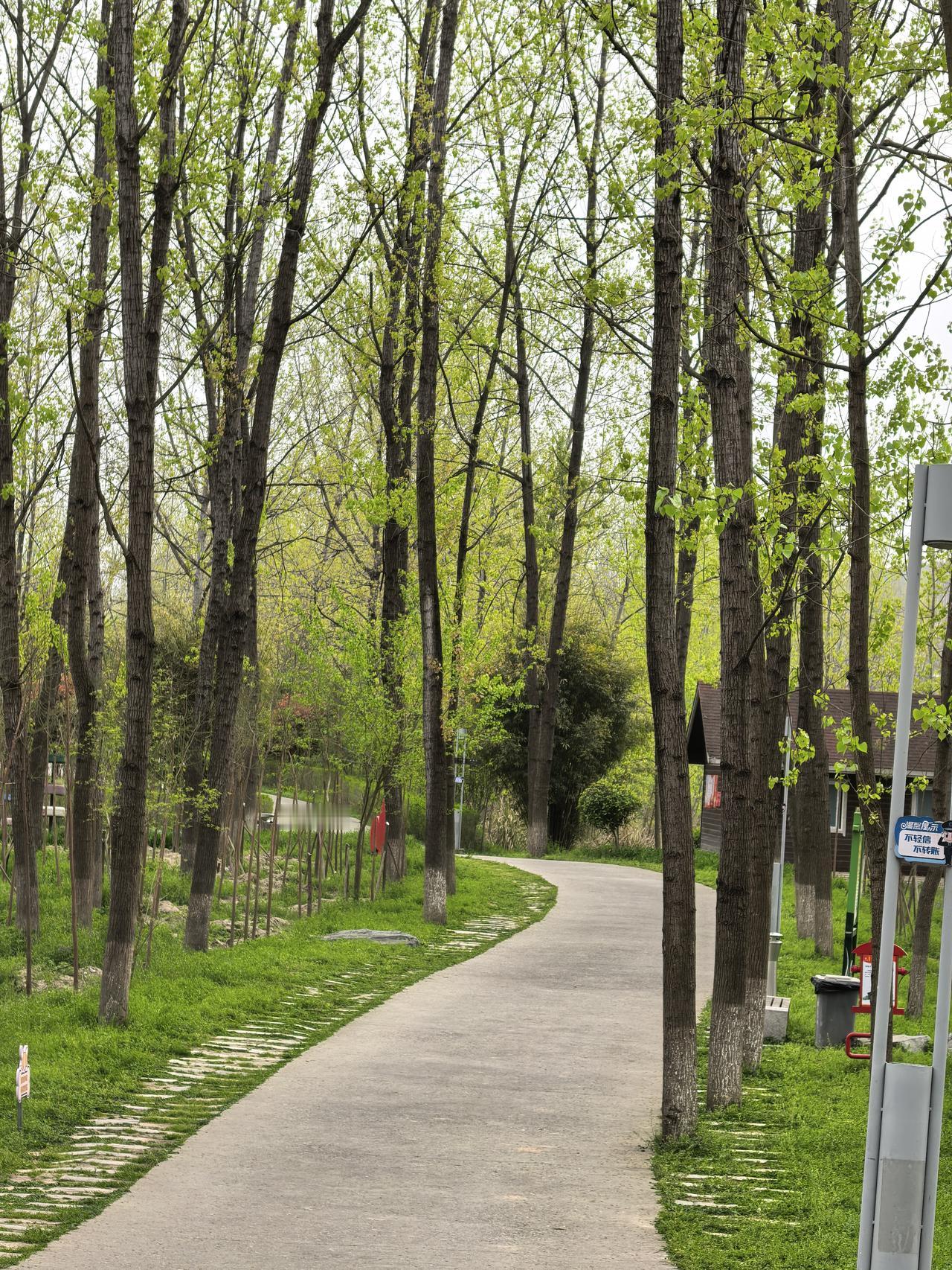 现代社会中，人们的行为千奇百怪。其中有一类行为叫做高调慈善。从事这类行为的人，几