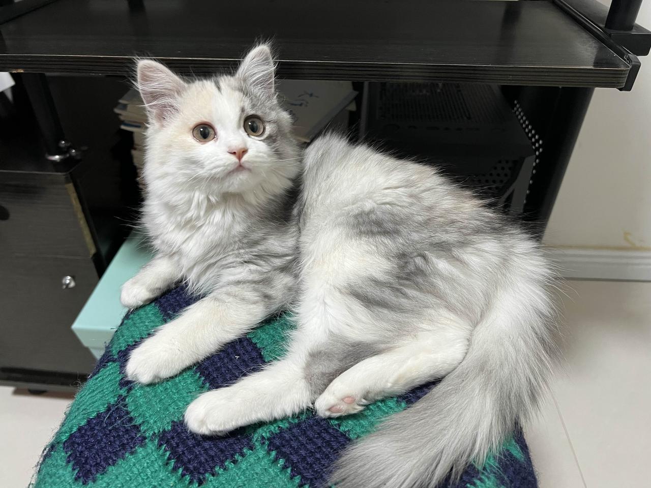 说实话
我要是日本人
我也瞧不起中国人

特别是那些记吃不记打的主儿，兜里有俩闲