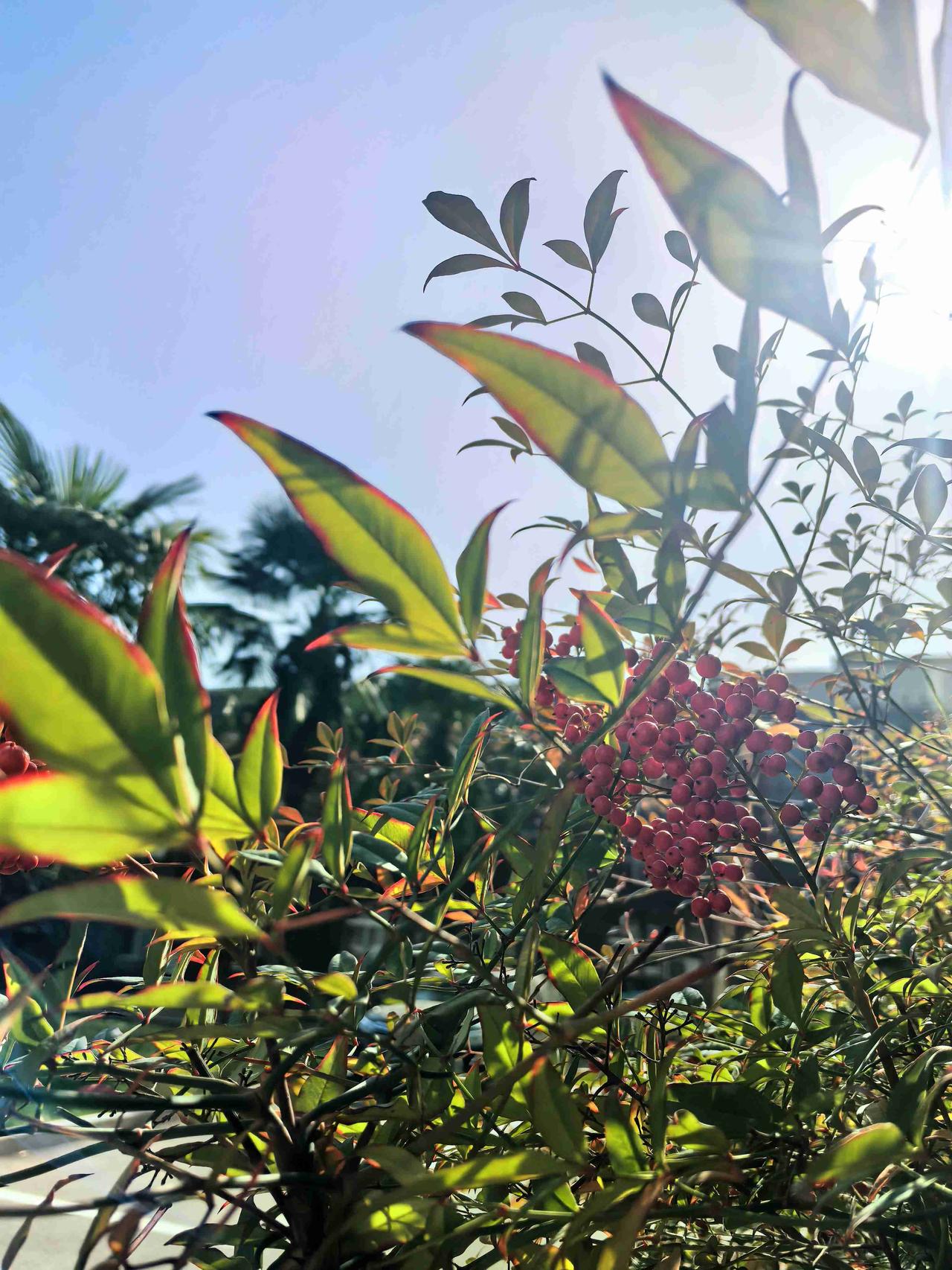 我的今日状态：😁轻松愉快
我这里的天气：☀️晴天
培训确实是企业给员工的福利，