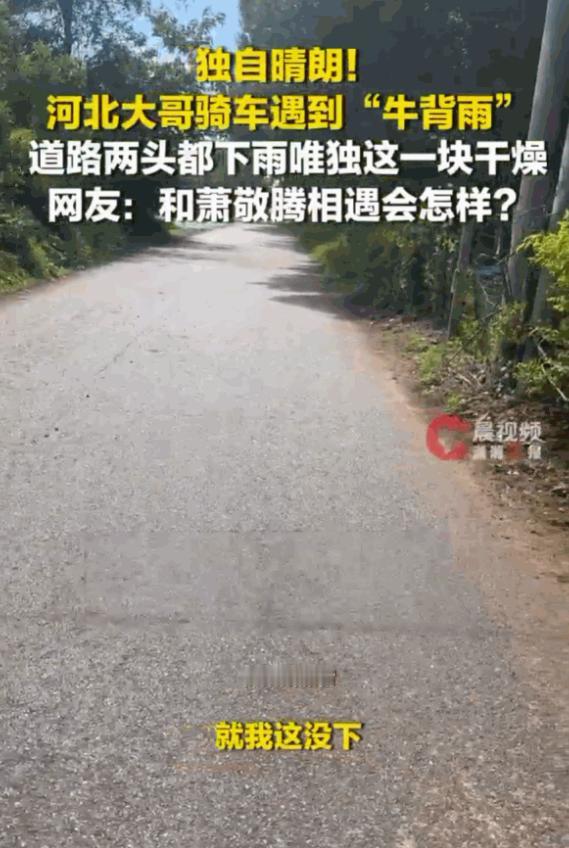 “太神奇了！”河北廊坊，一位大哥骑着电动车好好地走在路上，突然前后两头的路面全被