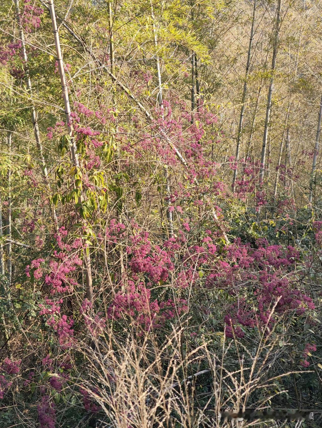 轮流坐庄不好吗？
父母都不在了，姐姐倡议午夜饭和弟弟三家在一起吃，采取AA 制，