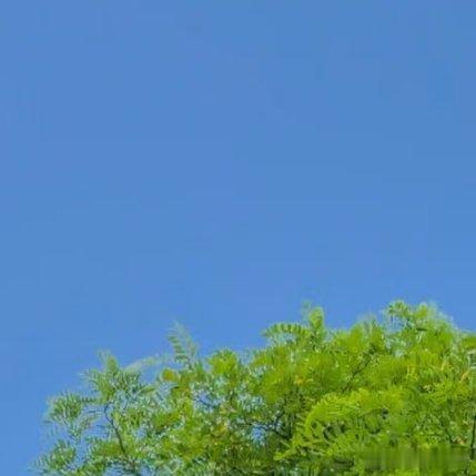 早安早安 清晨的阳光洒向大地，也照亮前路，早安！带着初心与坚持，去遇见更好的自己