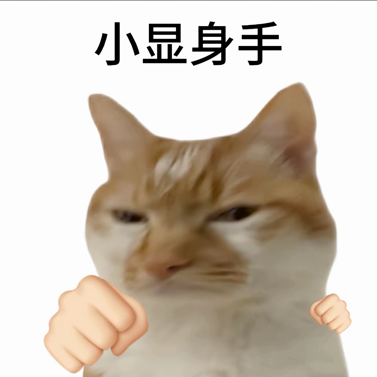 hr问我为什么有两个毕业证，这个HR真的上过大学吗？好的本科不比大专差