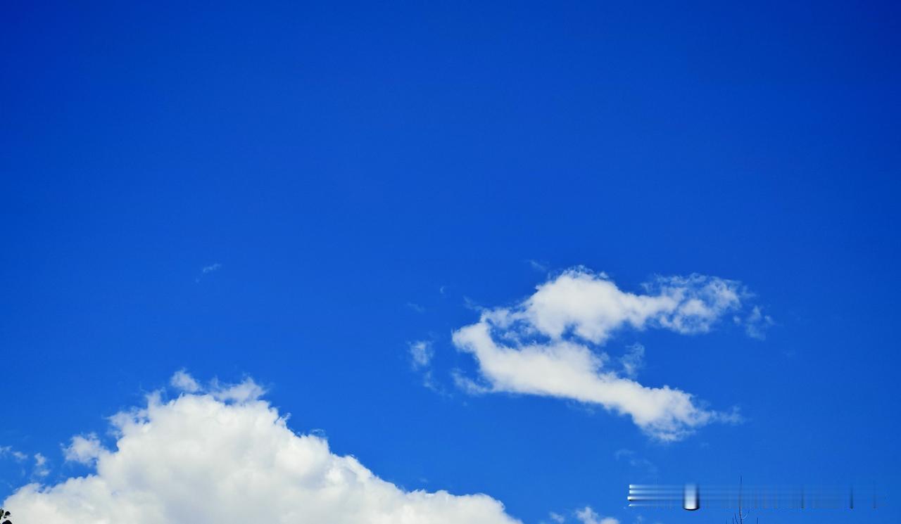 夏日生活打卡季