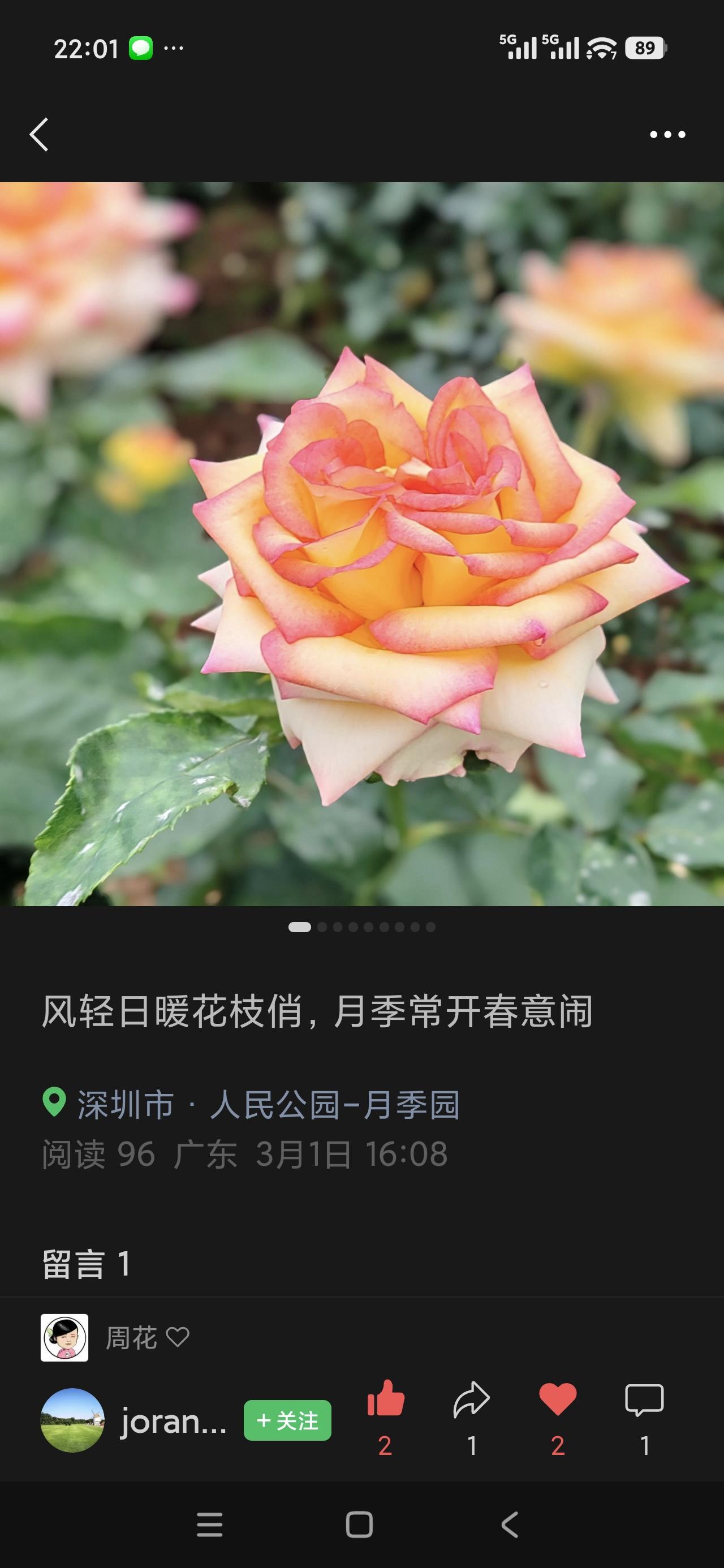 拍一张今天的月季美照昨天刚保存的网友的月季美照，与大家分享一下！