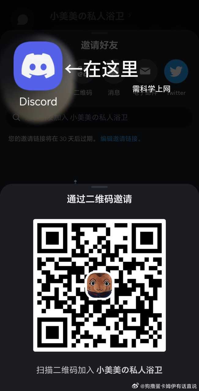 5245【兔嬷袭来】再宣一下🐇嬷交流裙，在discord，需要科学上网。基本无