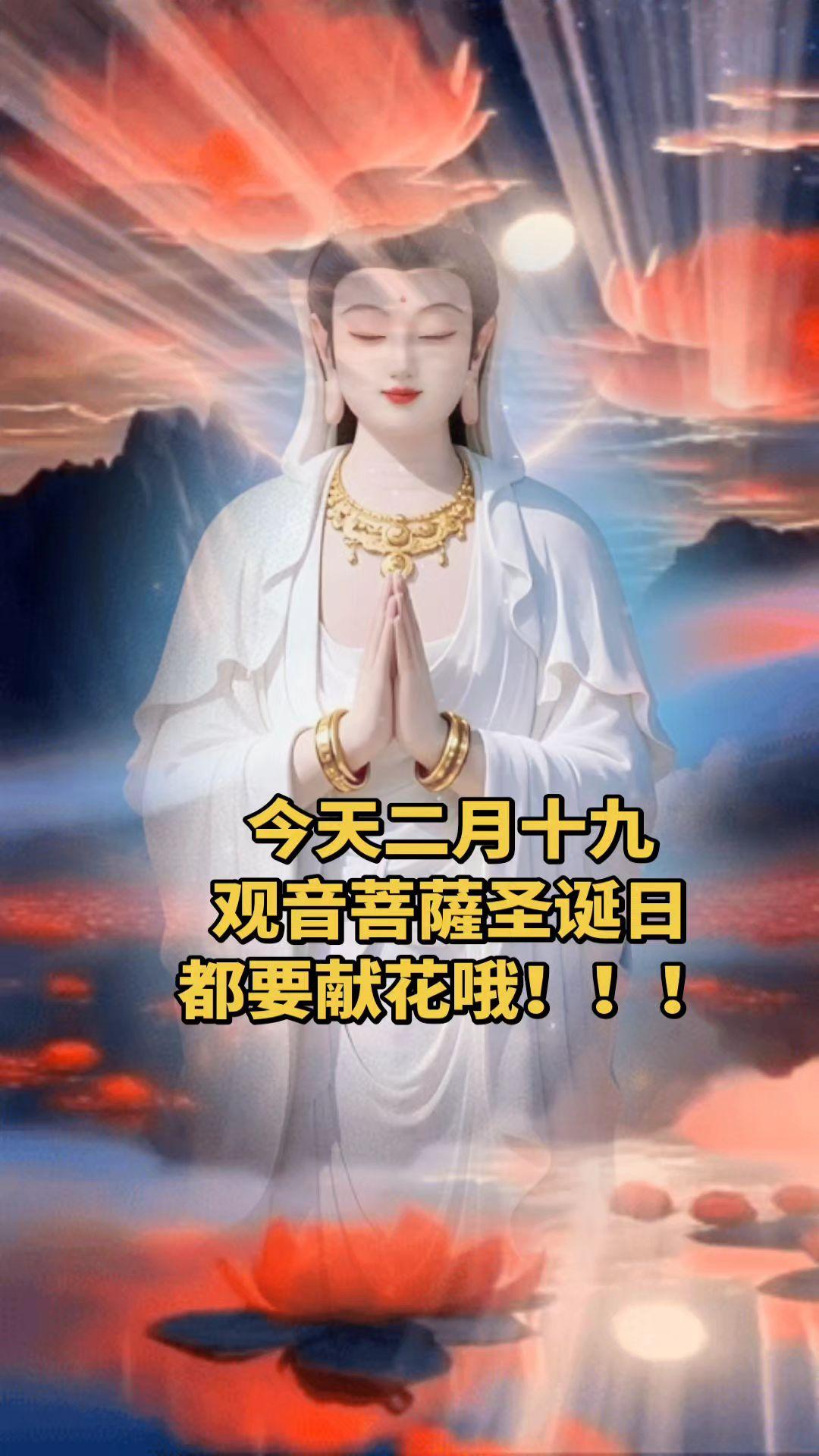 南海观音祈福 观音降世 又见观音 见佛者得大福