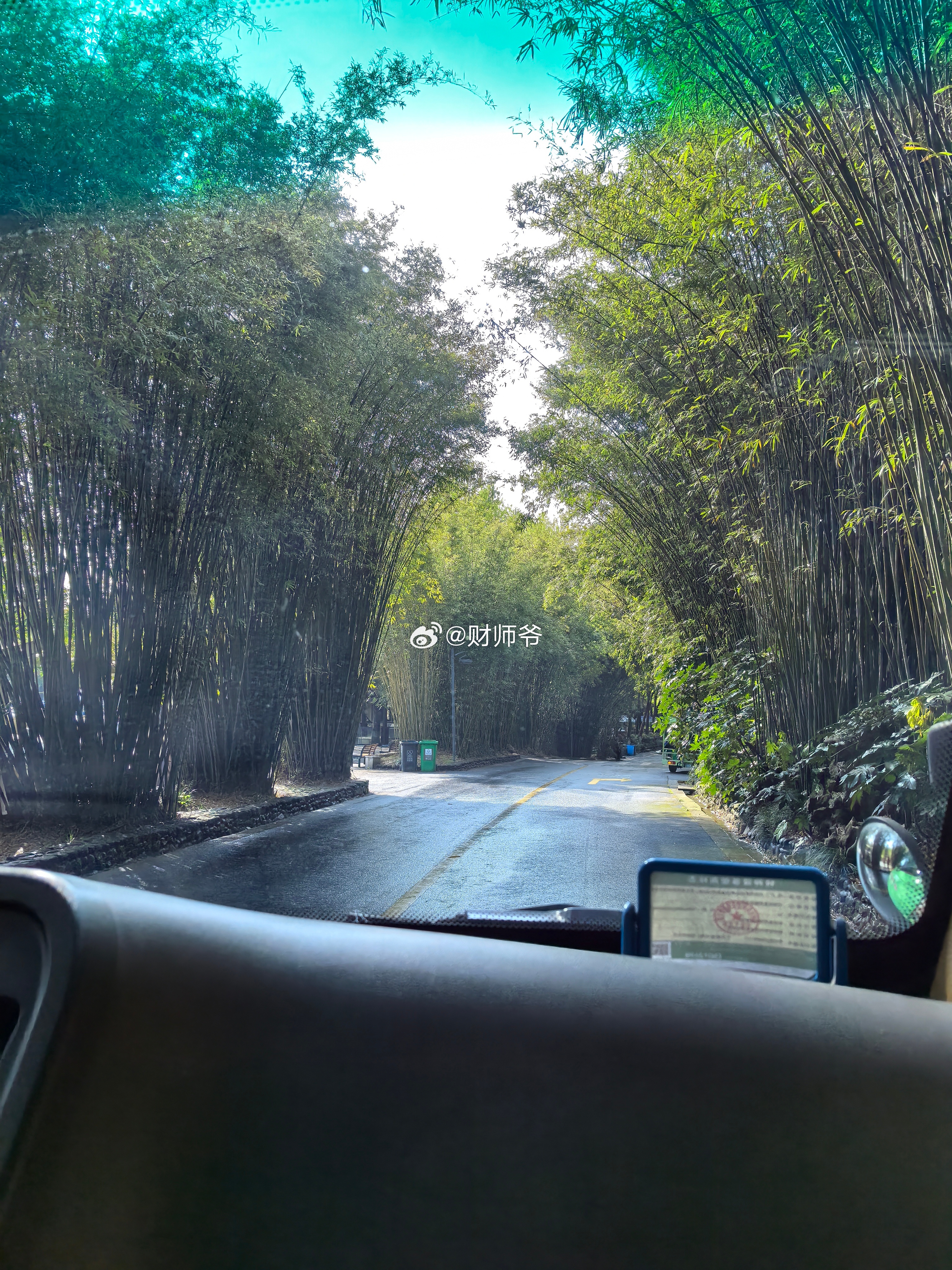 别说国内消费不行，像这种每分钟1.6元租金，90元一小时起步的小车，全部被租干净