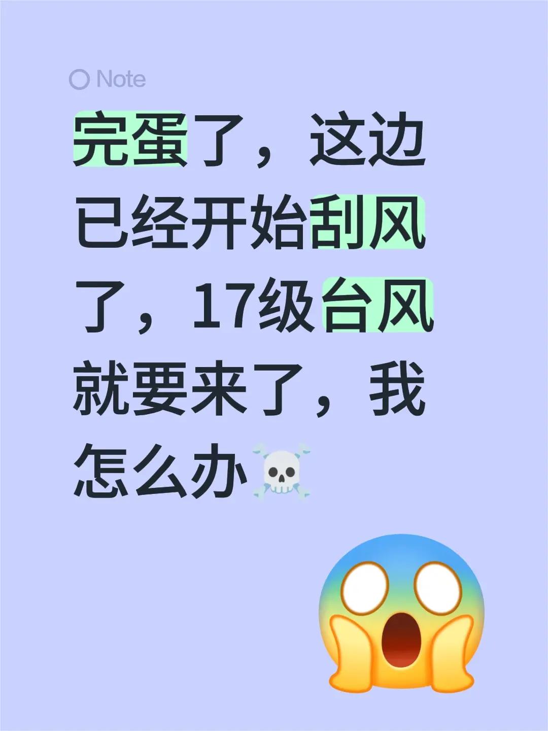 完蛋了，这边已经开始刮风了，17级台风就要来了，我怎么办☠️