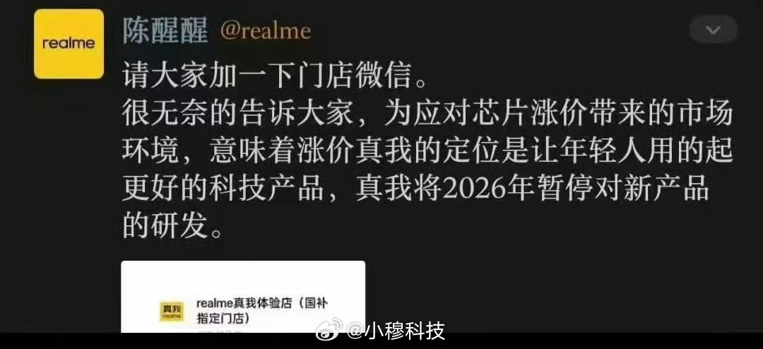 网传真我因为芯片涨价暂停新品研发，这很明显是假的，官方是不是得处理一下这个门店人