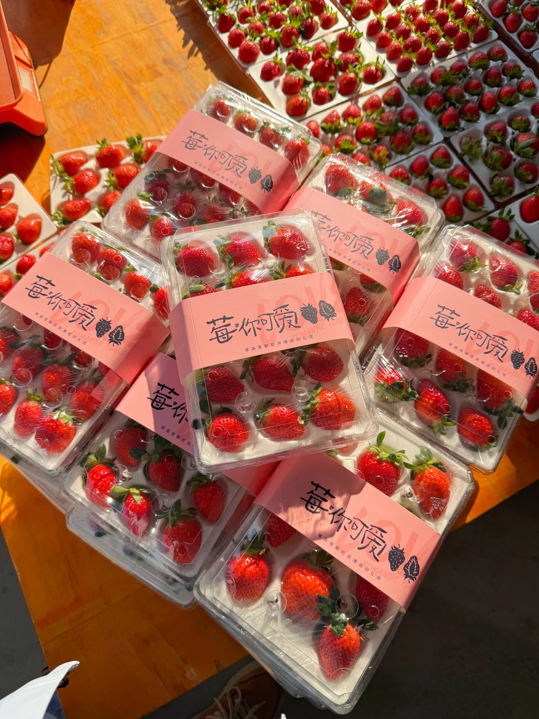 还吃啥普通草莓，我们纯甜香野草莓20多一盒！
