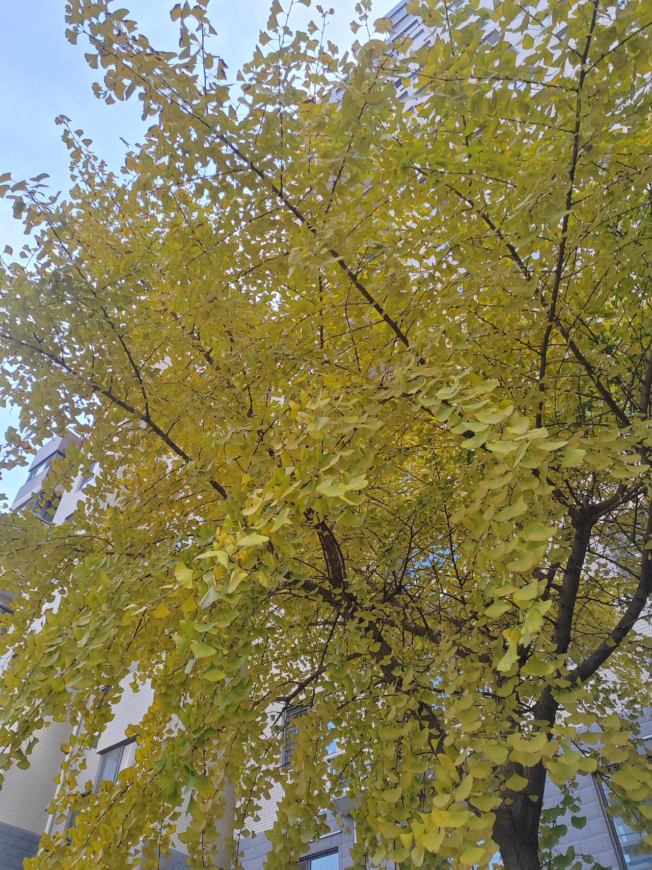 医院检查身体一天
三甲医院人山人海
做个B超排了一天
果然还是医院“生意”最好啊