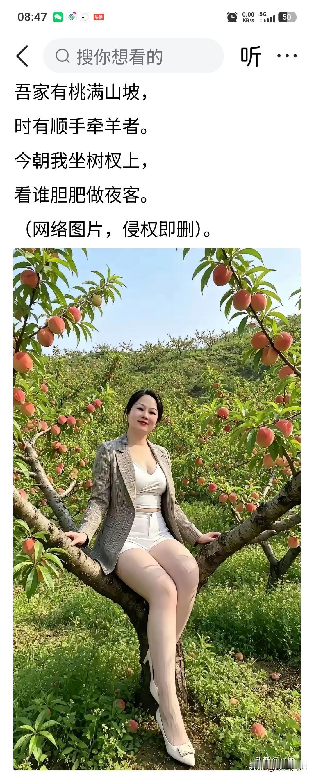 小心夜偷桃的人来了一举两得。[捂脸][捂脸]//@顺其自然:这防贼方式真妙啊😉